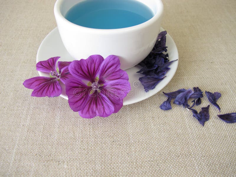Blue mallow tea stock photo. Image of naturopathy, flower 256411548