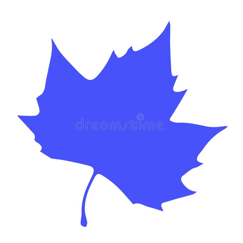 Blue Maple Leaf Silhouette on White Background blue leaf autumn leaf stock illustration
