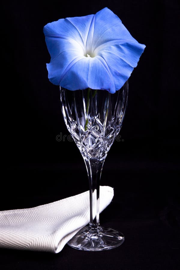 Blue morning glory flower with crystal glass isolated on black background with napkin