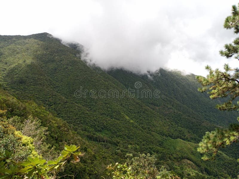 Blue Mountain Jamaica stock image. Image of terrain 260018807