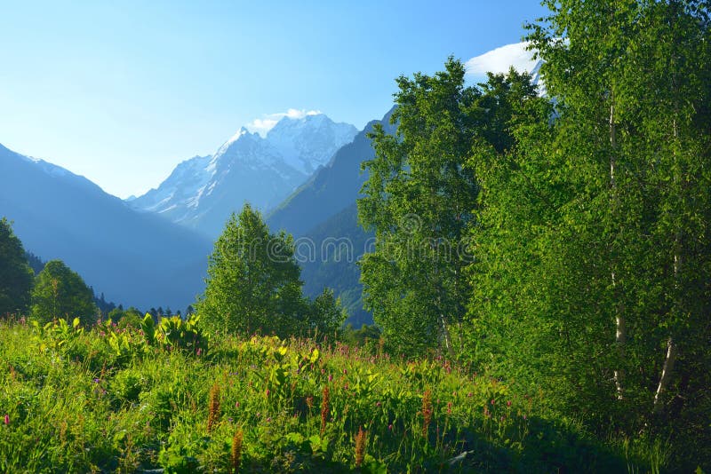 Blue mountains stock photo. Image of glacier, nature 41706698