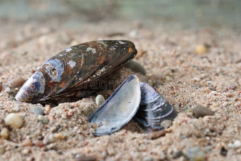 Old fishing float stock image. Image of nature, rope 12608321