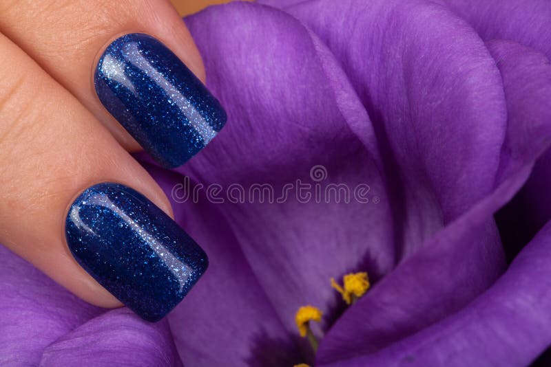 Blue nail polish. stock image. Image of acrylic, girl 63230235