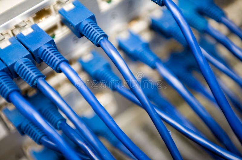 Molti fili blu inserito nel retro di un server di rete.