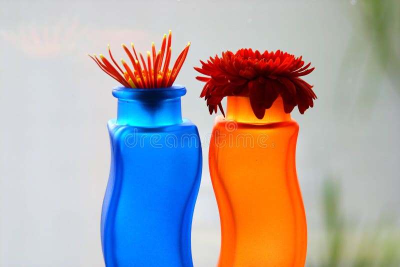Blue and Orange Vases with Flowers Stock Photo Image of happy, colors