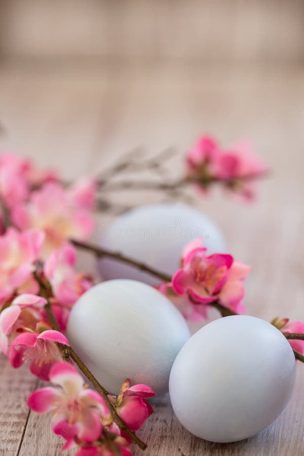 Blue Pastel Colored Easter Eggs and Cherry Blossoms on White Woo Stock