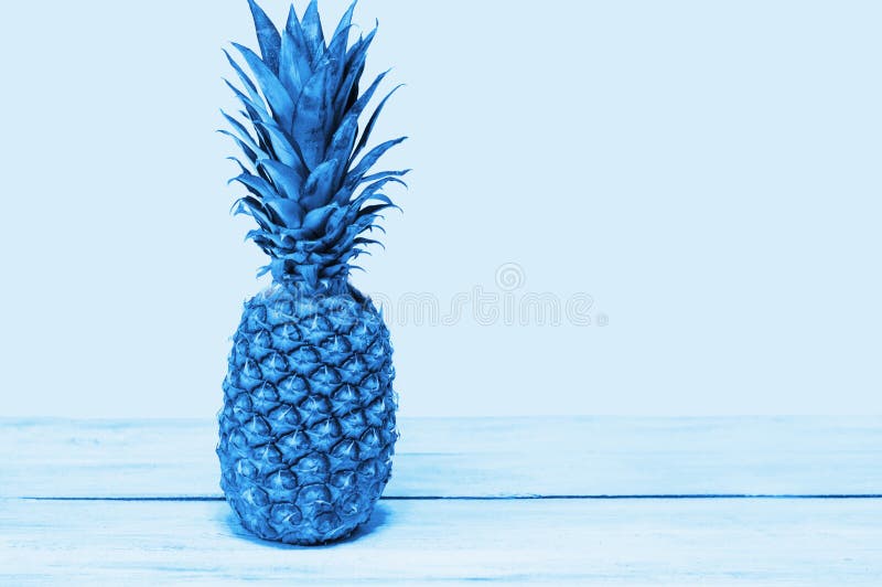 Blue Pineapple on Blue Background. Blue Tinted Window Stock Image