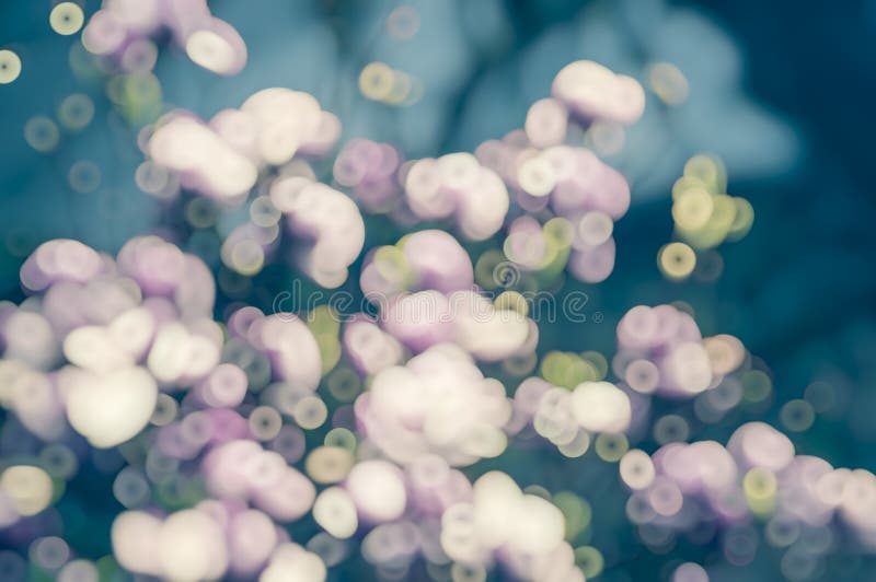 Blue pink blurred floral bokeh background royalty free stock image Blue pink blurred floral bokeh background royalty free stock image