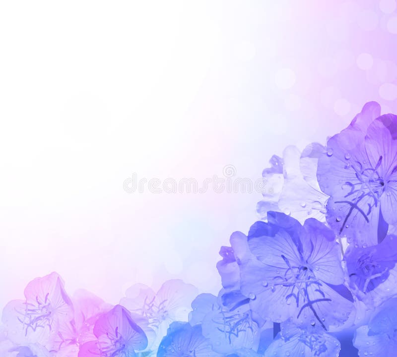 Blue Pink Flower Background. Stock Illustration Illustration of light
