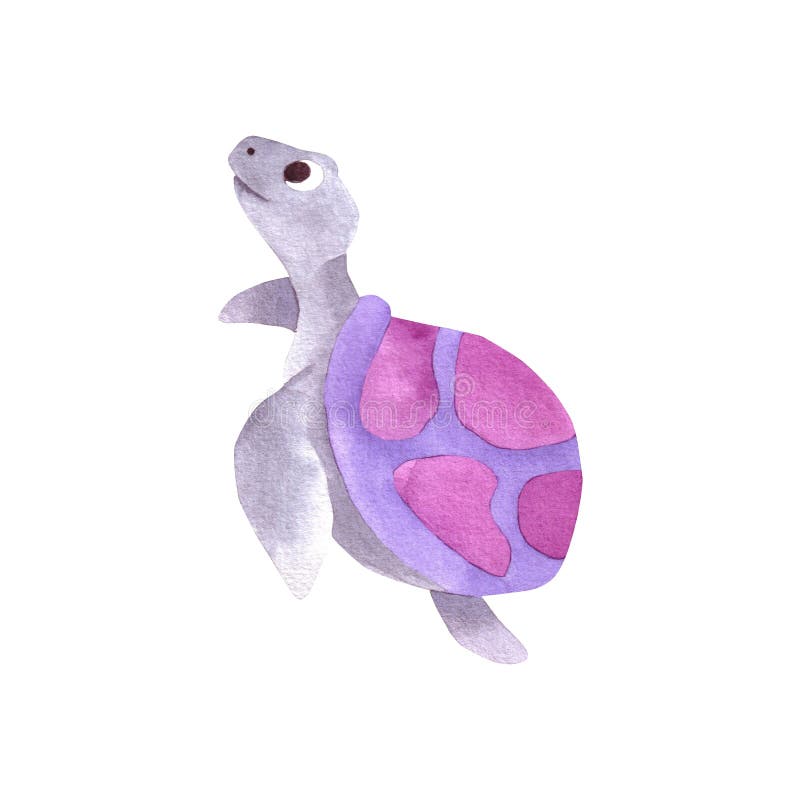 Blue and pink watercolor ocean fish. Turtle watercolor hand drawn illustration isolated on white
