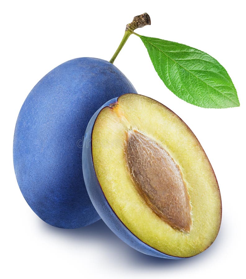 Blue Plum Isolated On White Background Stock Image Image of fresh