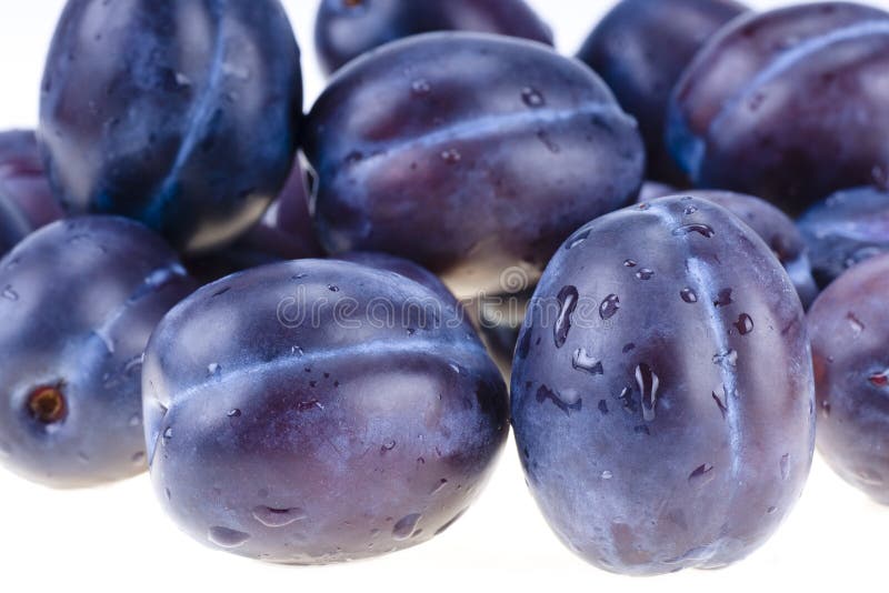 free download dried plums free download dried plums
