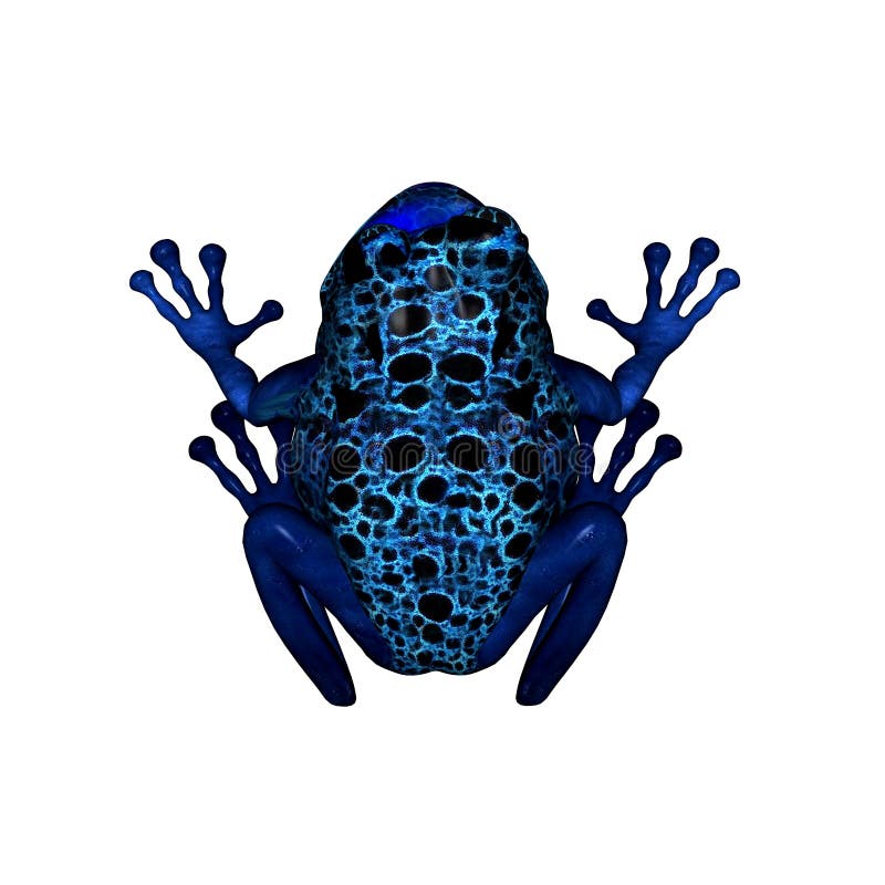 Blue Poison Dart Frog