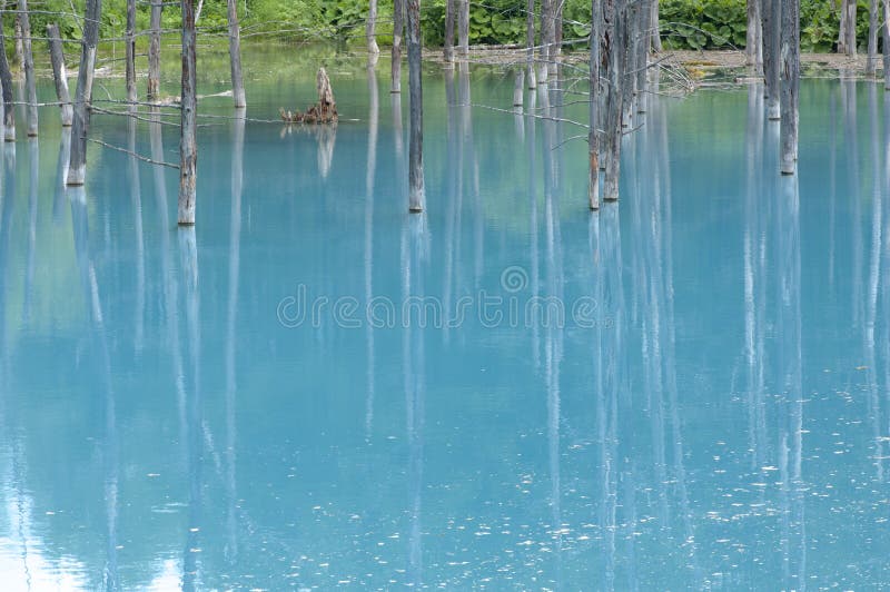 Blue Pond in Japan