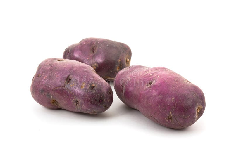 Blue potato - Vitellotte royalty free stock image Blue potato - Vitellotte royalty free stock image
