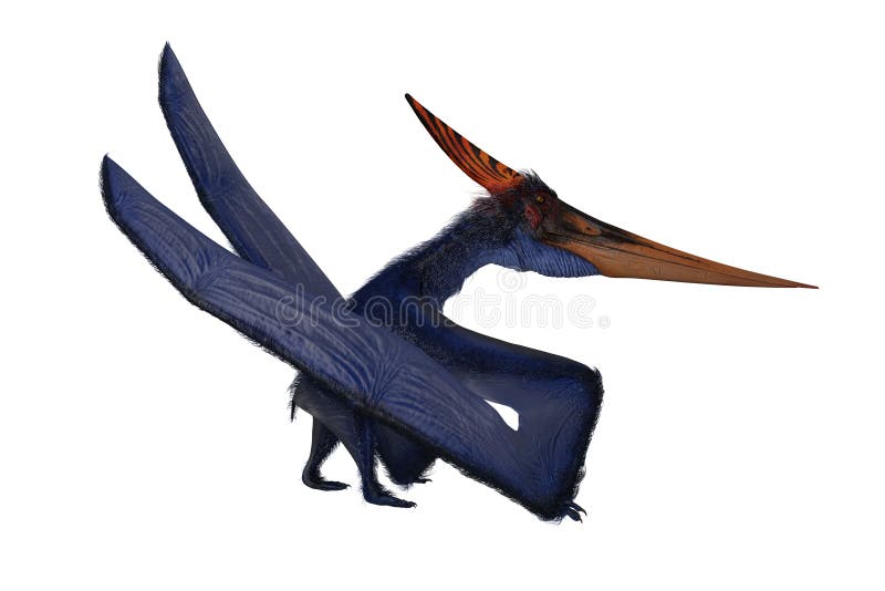 How Did Pteranodon Walk?