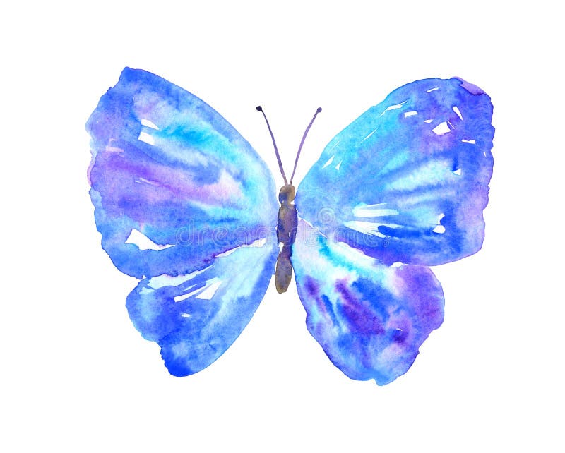 Blue purple butterfly. Hand drawn watercolor illustration. Isolated on white background