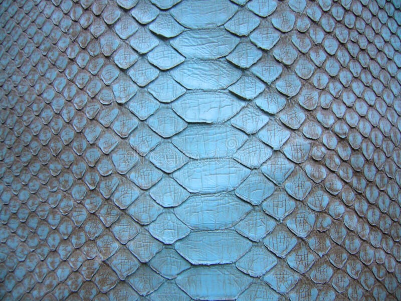 Blue python skin snake. stock image. Image of textile - 206325363