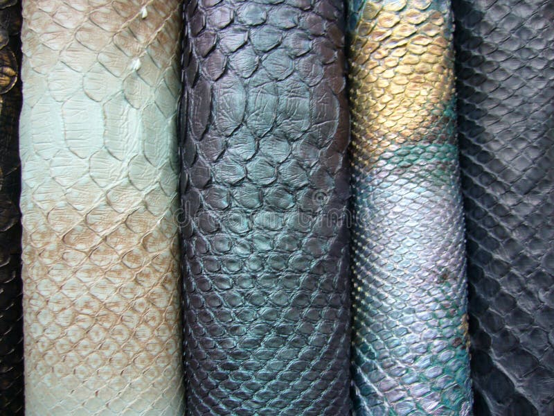 Natural python leather, skin texture for background. Stock Photo by  ©tawanlubfah 89909158