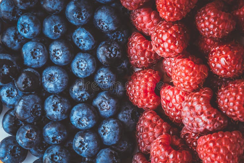 Blue and red. Raspberry and blueberry. Background of the raspberry and blueberry. Summer concept royalty free stock photography