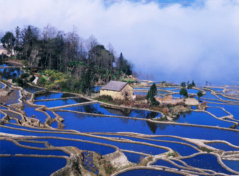 Starodávné rýžové terasy yuanyang, yunnan, čína.