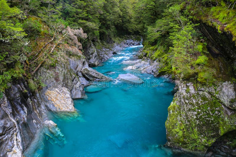 Blue river in the forest, New Zealand