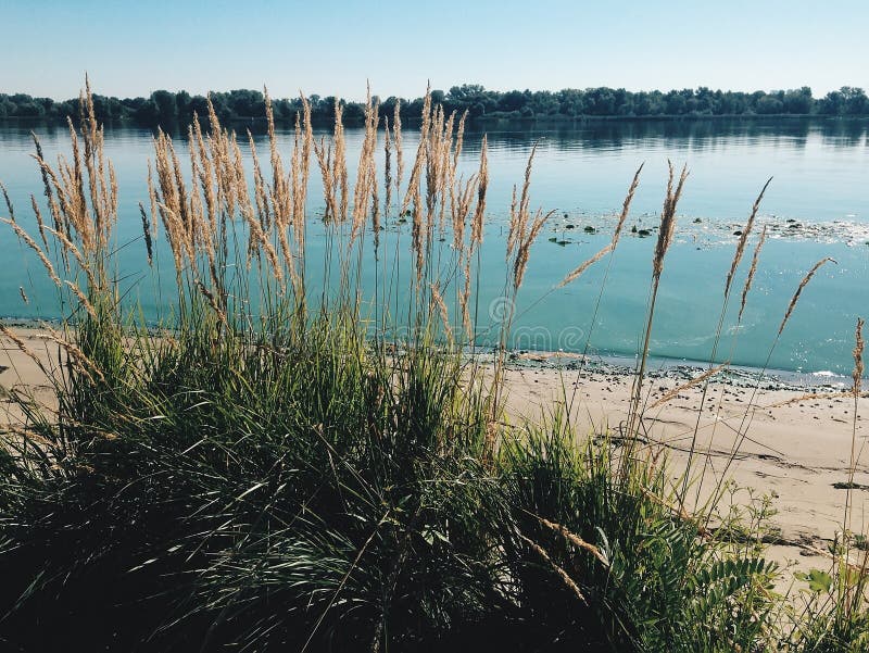 Blue river, sky and green grass