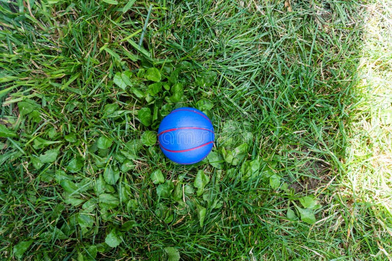 Blue Rubber Basketball Toy for Kids Stock Image Image of little