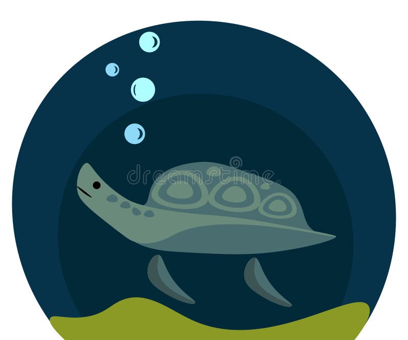 polynesian seaturtle polynesian seaturtle