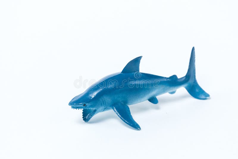 shark toy that opens mouth