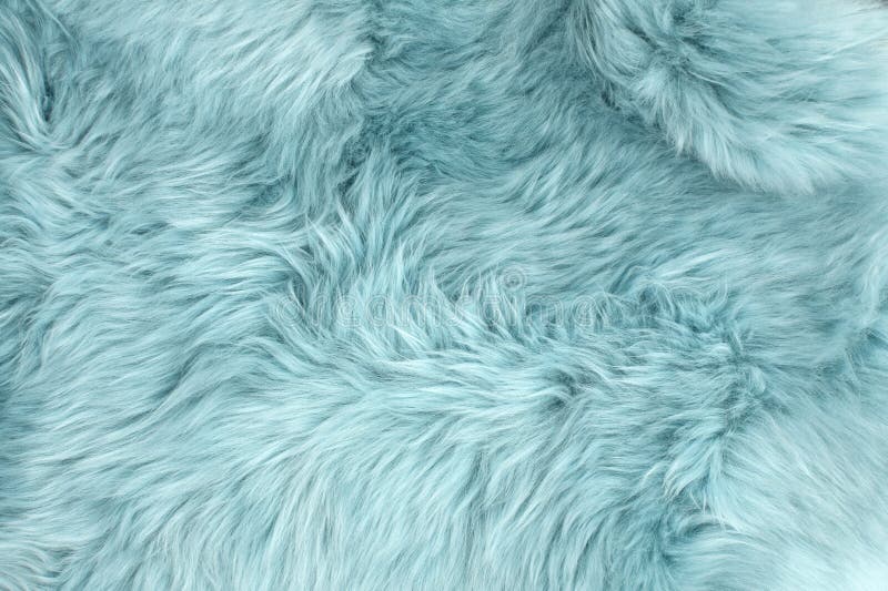 Blue Sheep Fur Natural Sheepskin Background Wool Texture Stock Image