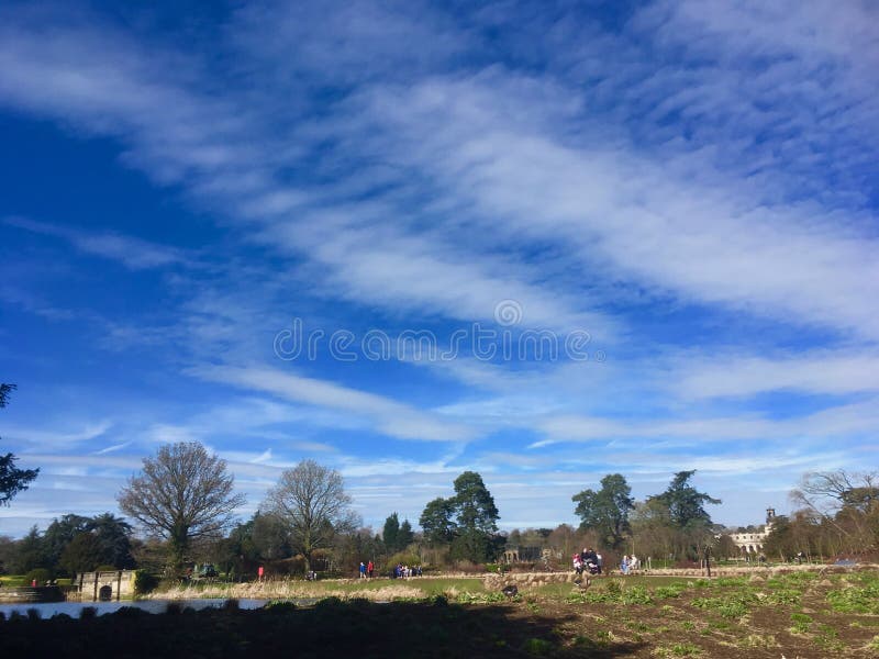 Blue skies and clouds over the gardens