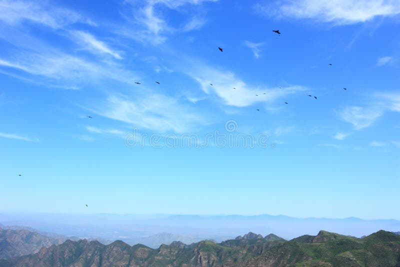 Blue sky with birds