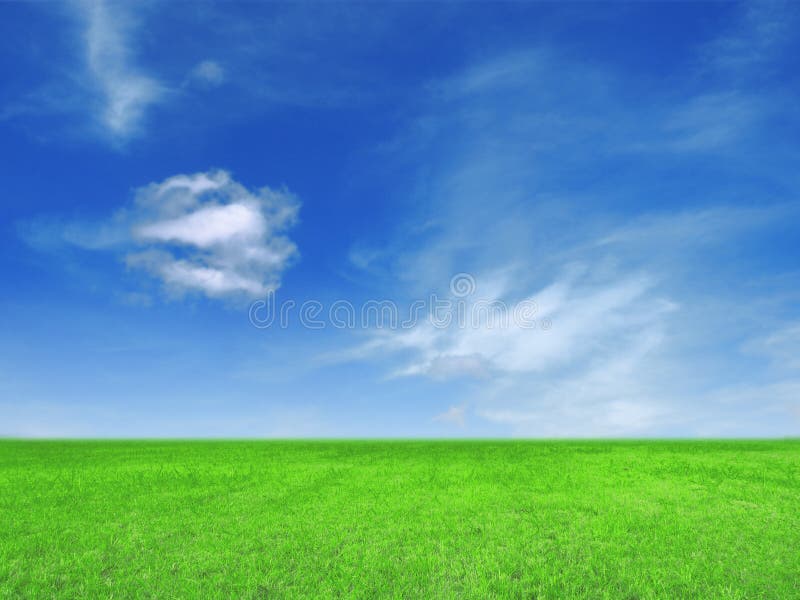 Grass and blue sky stock photo. Image of feild, plant 62335054