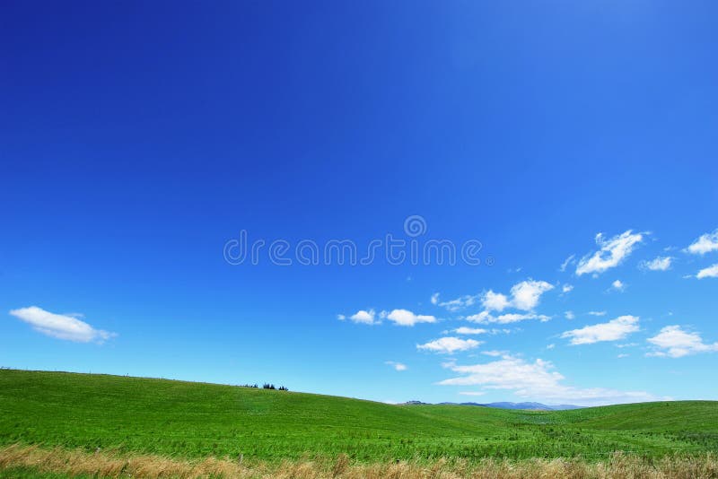 Immagine di blu del cielo ed il verde del campo.