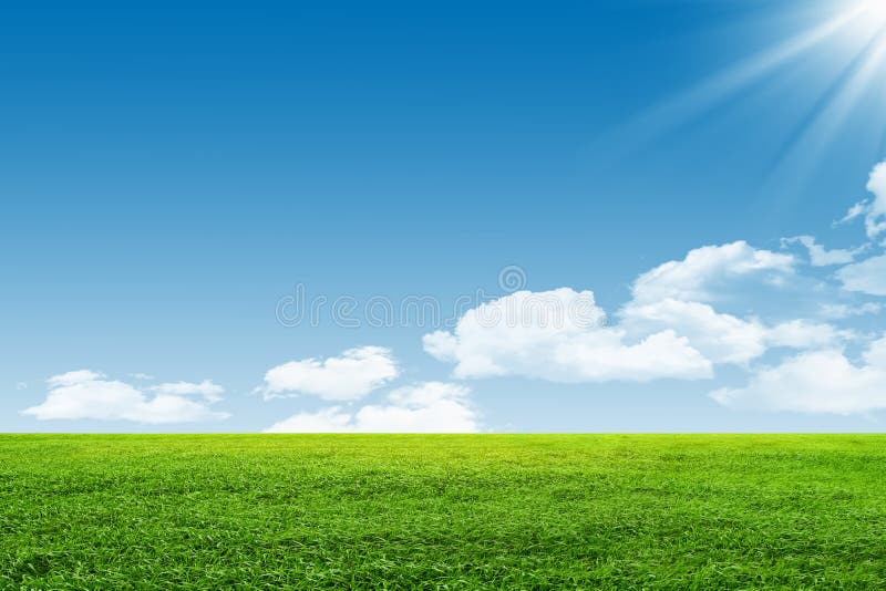 Blue sky and green field