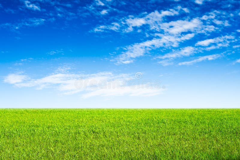 Blue sky and green grass scene