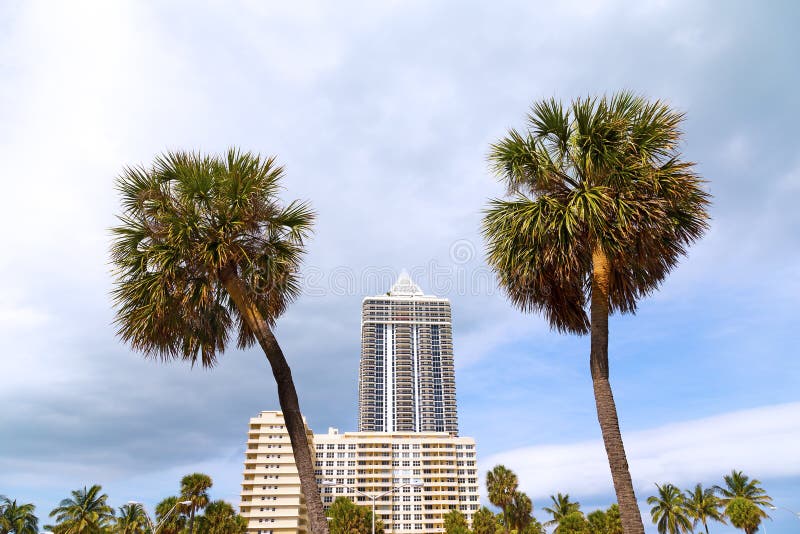 Blue Sky and Grey Clouds Over Miami Beach Palms and Buildings. Stock Photo Image of holiday