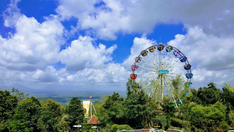 Blue sky with lots of plants and Ferris wheel