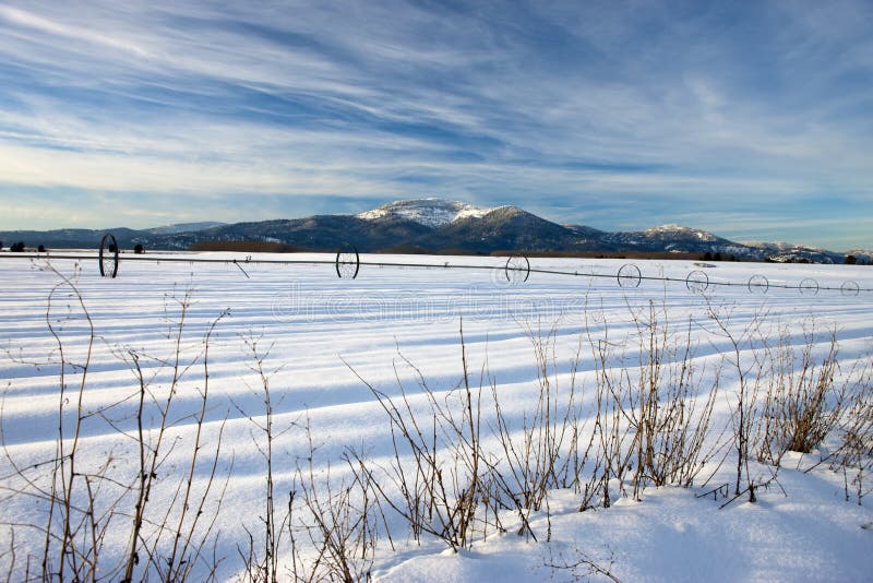 Blue sky and snowy rural scenic.