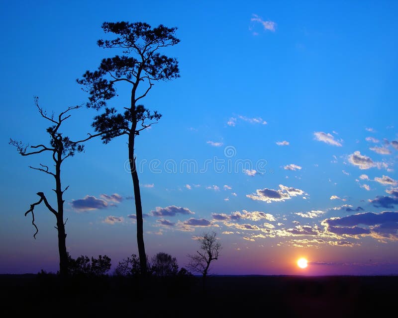 Blue sky sunset