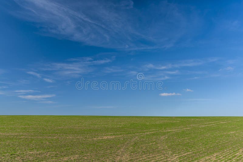 Blue sky with white clouds and green field