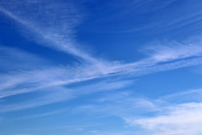 Nature background 3687 royalty free stock images