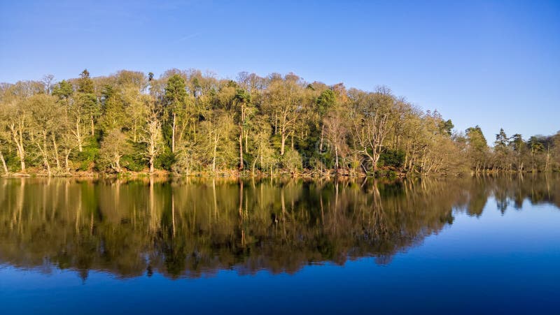 Blue Sky Woodland Lake Reflections.