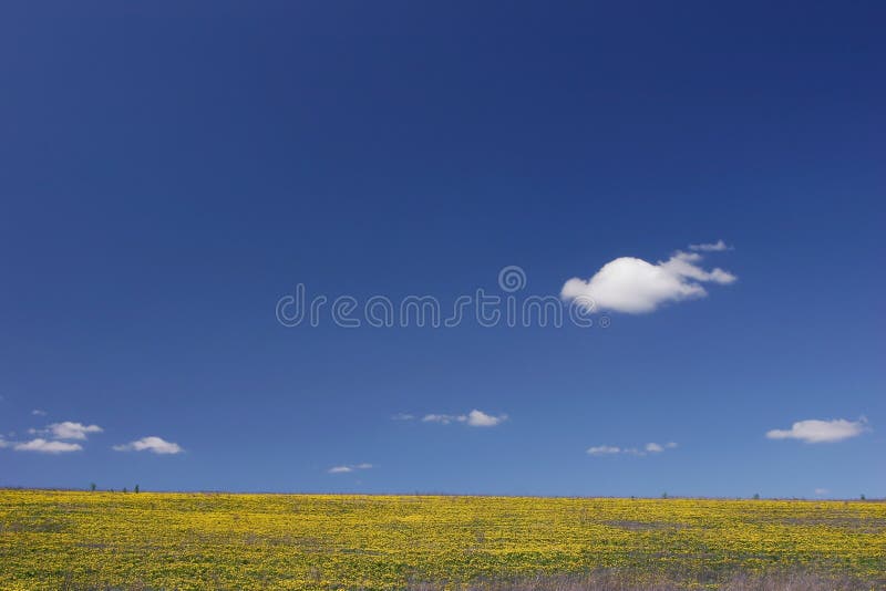 Number 1 ; number one sign in yellow ; with plain blue sky - a Royalty Free  Stock Photo from Photocase