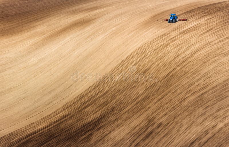 Blue Small Tractor Ploughing Brown Wavy Field. Scenic View Of Farming Tractor Which Plowing Spring Field.