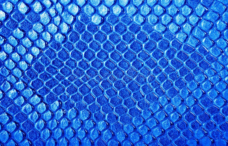 Blue Snake Skin, As a Background Stock Photo - Image of material ...