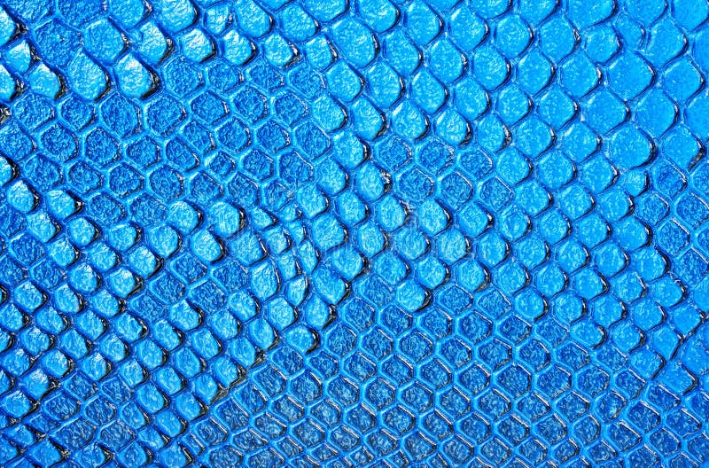 Blue snake skin background stock photo. Image of detail - 174780094