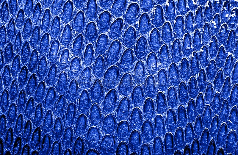 Blue snake skin background stock photo. Image of conservation - 172328888