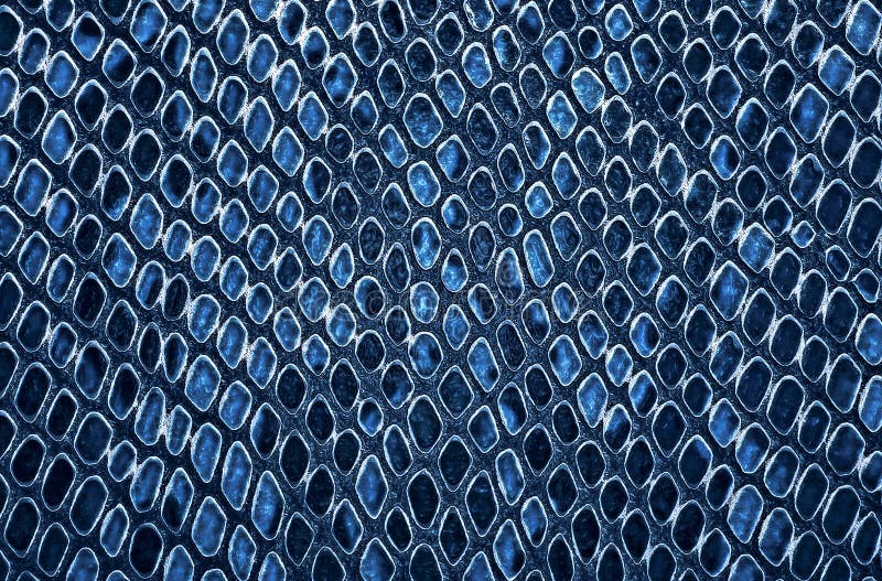 Snake skin background stock photo. Image of backdrop - 167123350